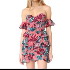 For Love and Lemons Dress